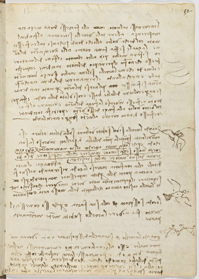 Codice sul volo degli uccelli, c. 1505-06, manoscritto su carta, cc. 18, foglio 12 recto da Leonardo da Vinci